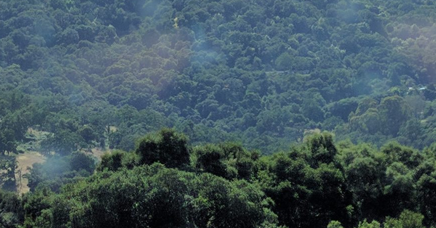 सरलंय ऊन…