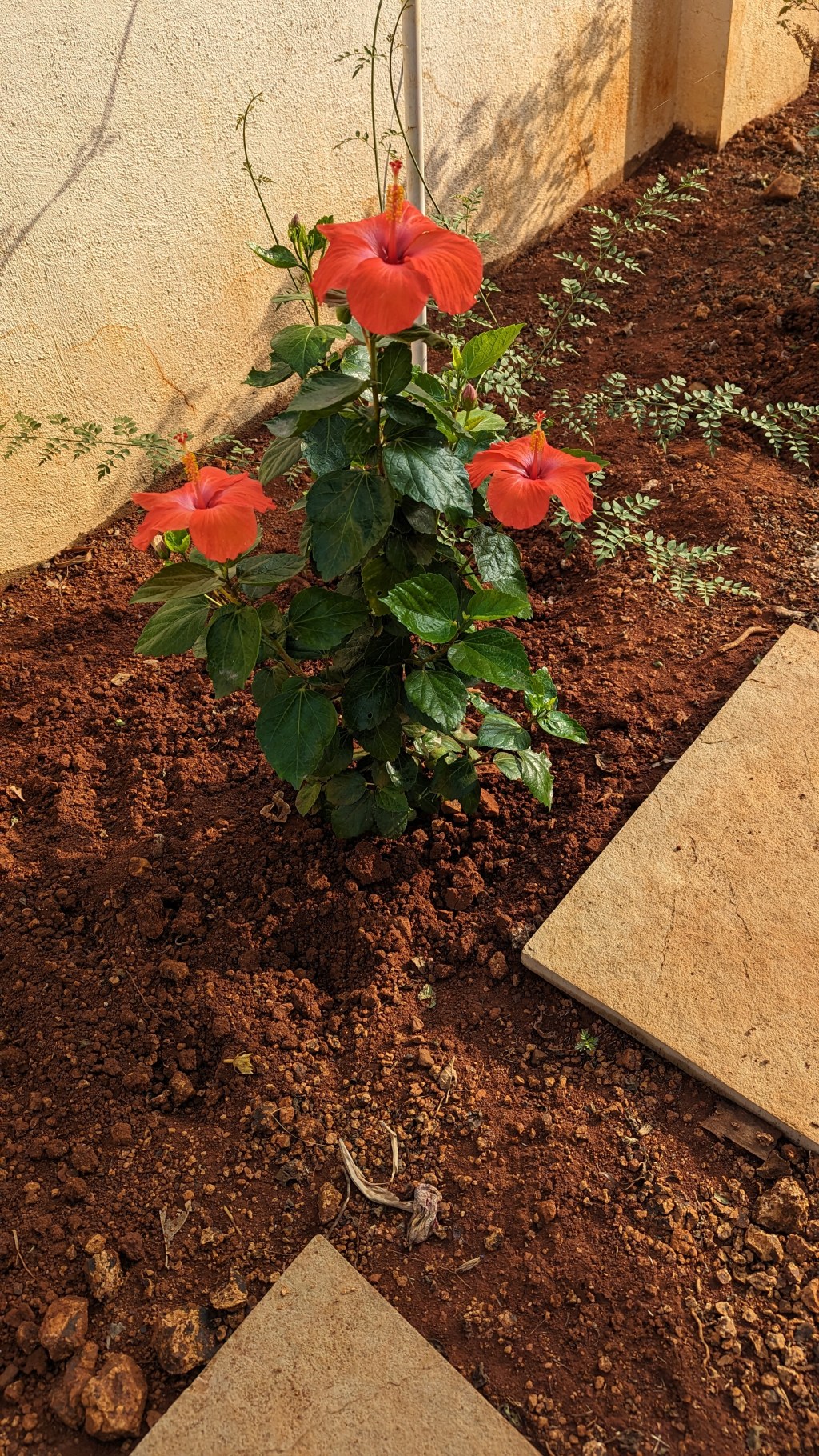 Four principles of Hindu&nbsp;philosophy