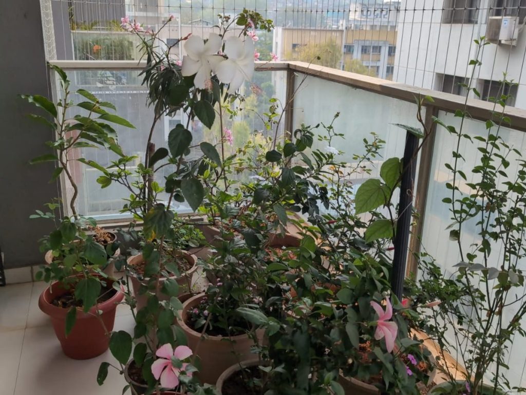 A Heartfelt Thank You to My&nbsp;Readers